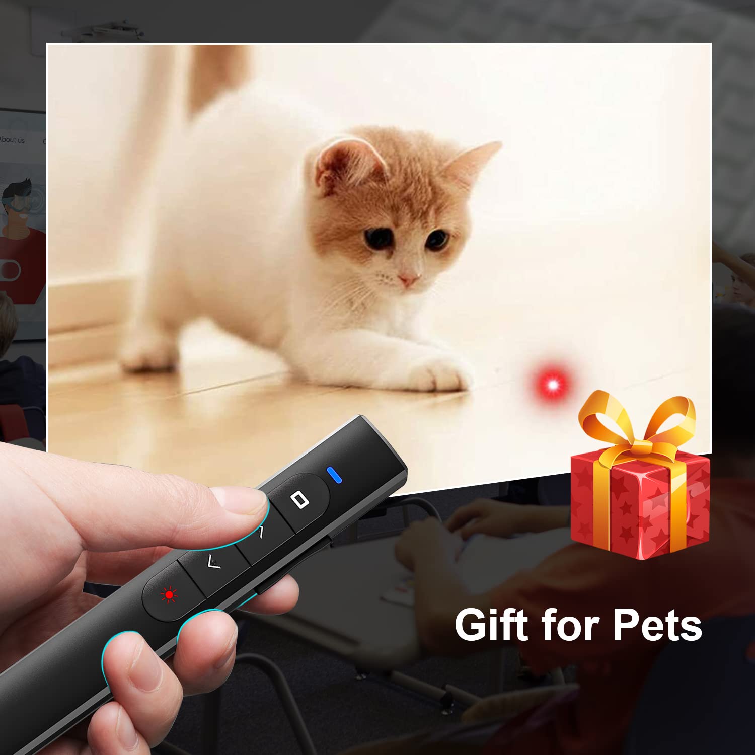 Wireless Presentation Clicker for PowerPoint Presentations, USB Slide