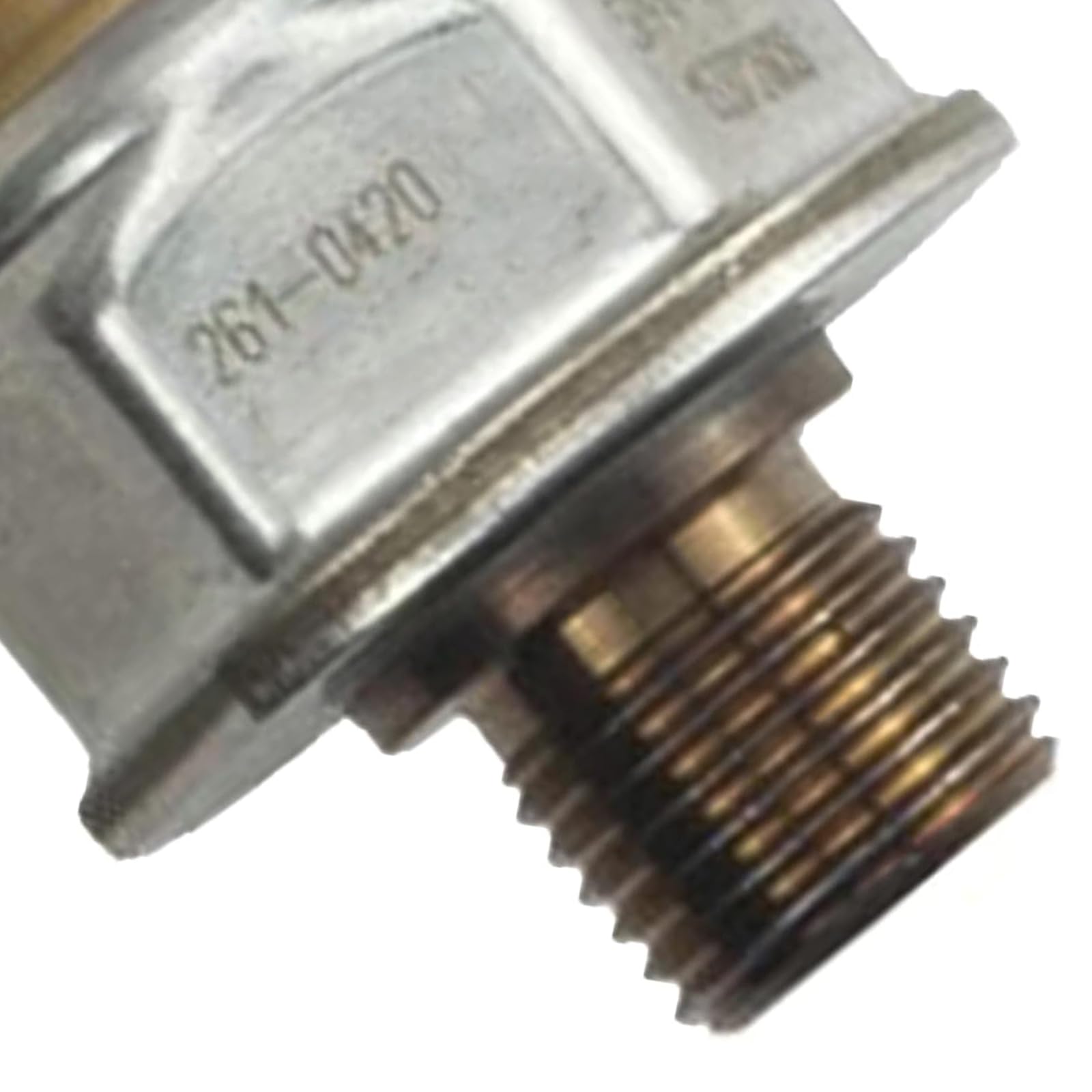 寒蘭-004　609-4H　紅無点×渚　苗　交配種 寒蘭-004 609-4H 紅無点×渚 苗 交配種