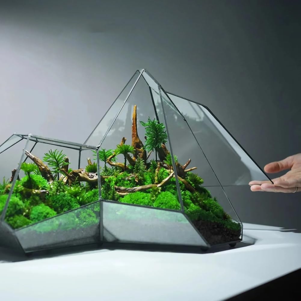 Małe nieregularne geometryczne terrarium, szklane terrarium geometryczne, miniaturowe szklane terrarium, doniczka, ręcznie wykonane, nieregularne pojemniki do terrarium na sukulenty, paprocie, rośliny