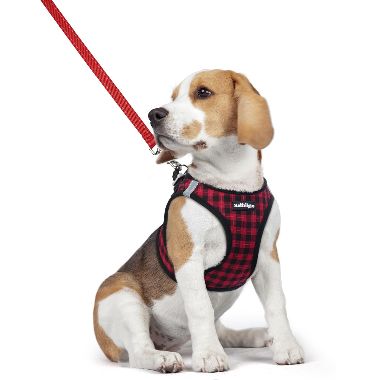 rabbitgoo Dog Harness Medium Sized and Leash Set, Step-in Puppy Pet Vest