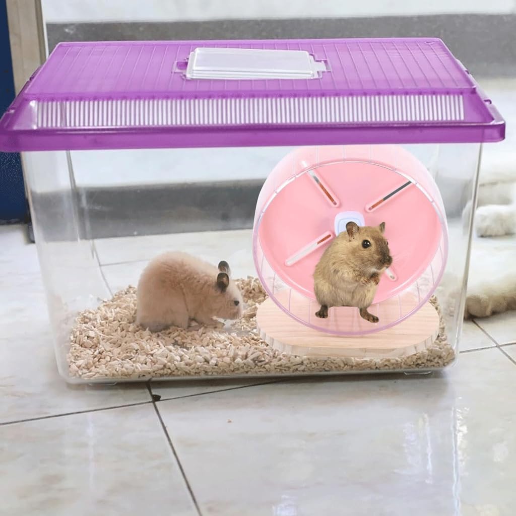 Roue de Course silencieuse pour Hamster, Ours doré, Tapis Roulant, Balle de Course avec Support, Fournitures de Petits Jouets pour Animaux de Compagnie