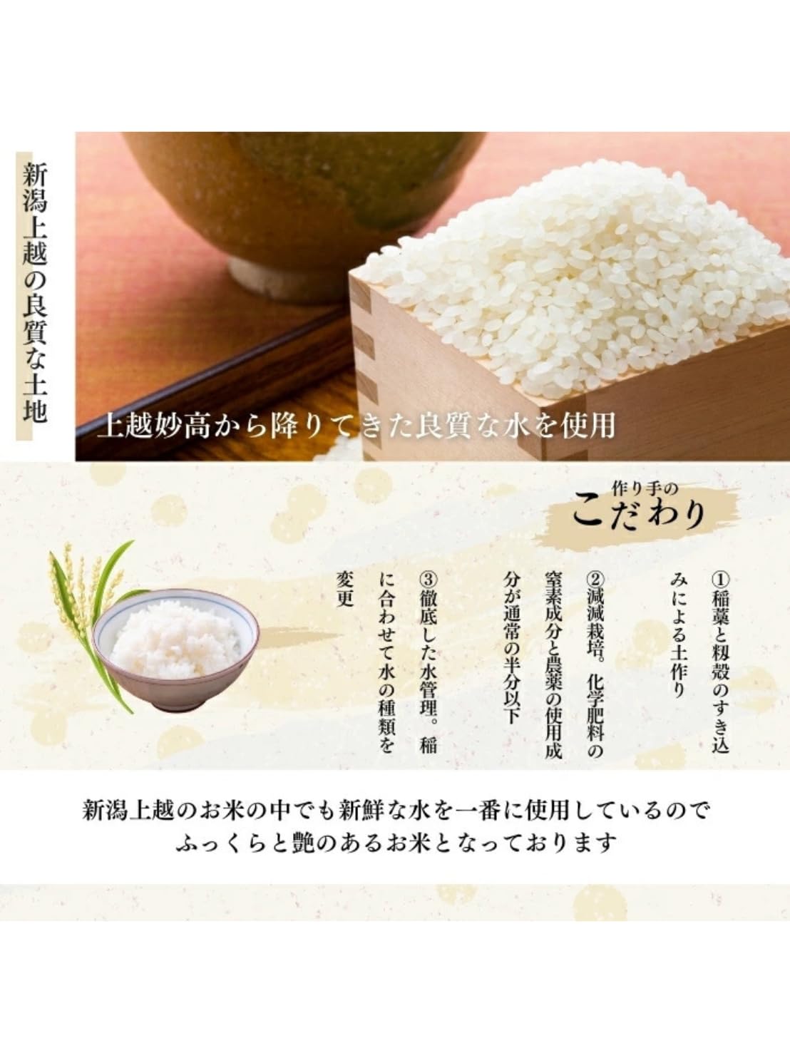 Amazon.co.jp: 新潟県産コシヒカリ 白米, 令和7年産, 上越産, 10kg