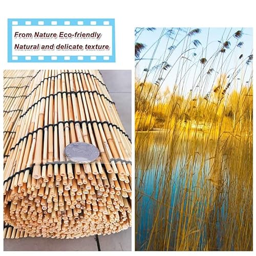 Roll Up Window Shade Reed Blind For Patio Bamboo Shades 28" 34" 36" 42" 46" 56" 68" 72" 74" Width Outdoor Shades Cordless Roman Shades (Size : 24" W X 48" H) #TOP1