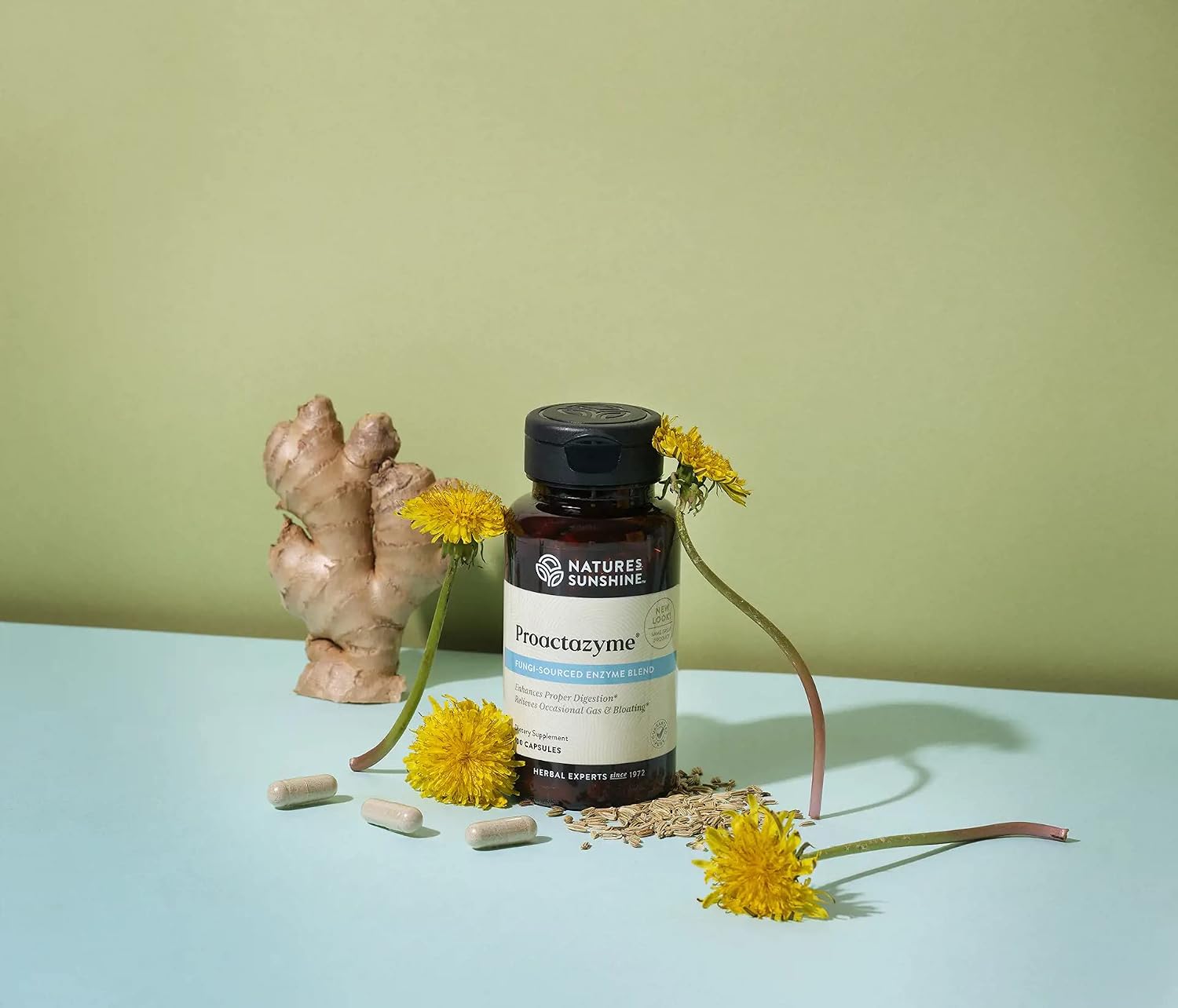 Nature's Sunshine Proactazyme 100 Capsules