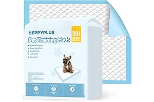 Disposable Kitten Pee Pads for Hassle-Free Pet Training
