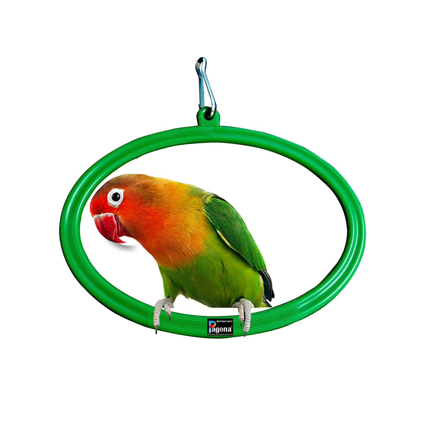 PAGONA� - Bird Toys Elliptical Swings Suitable for Small Cage Birds Like Love Birds, Finches, Cockatiel. (Pack of 2) (B09RHFG8PR) Amazon Price History, Amazon Price Tracker
