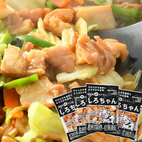 しろちゃん 福井の味付け肉セット 165g × 4袋 計660g [豚 豚肉 ぶた ホルモン ほるもん 豚腸 ご当地 おつまみ おかず 夜のおかず 味付き 冷凍 国産][A-12426]