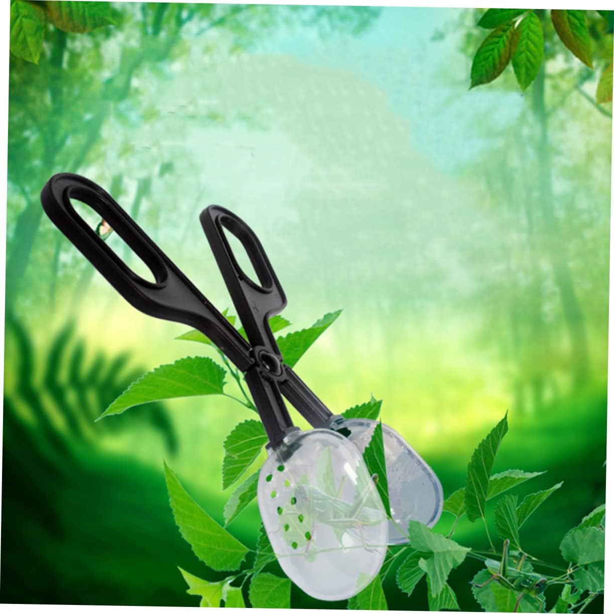 Alasum 4 Pcs Reptile Cleaning Clip Reptile Clip Feeding Tool Lizards Tongs