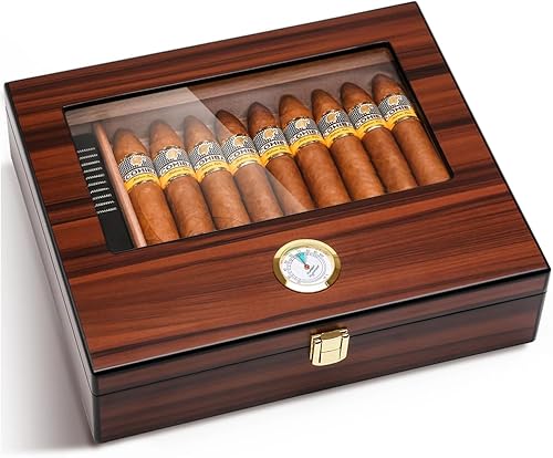Bald Eagle Humidor de puros, caja superior de vidrio con higrómetro humidificador, caja de madera de cedro de escritorio hecha a mano con capacidad