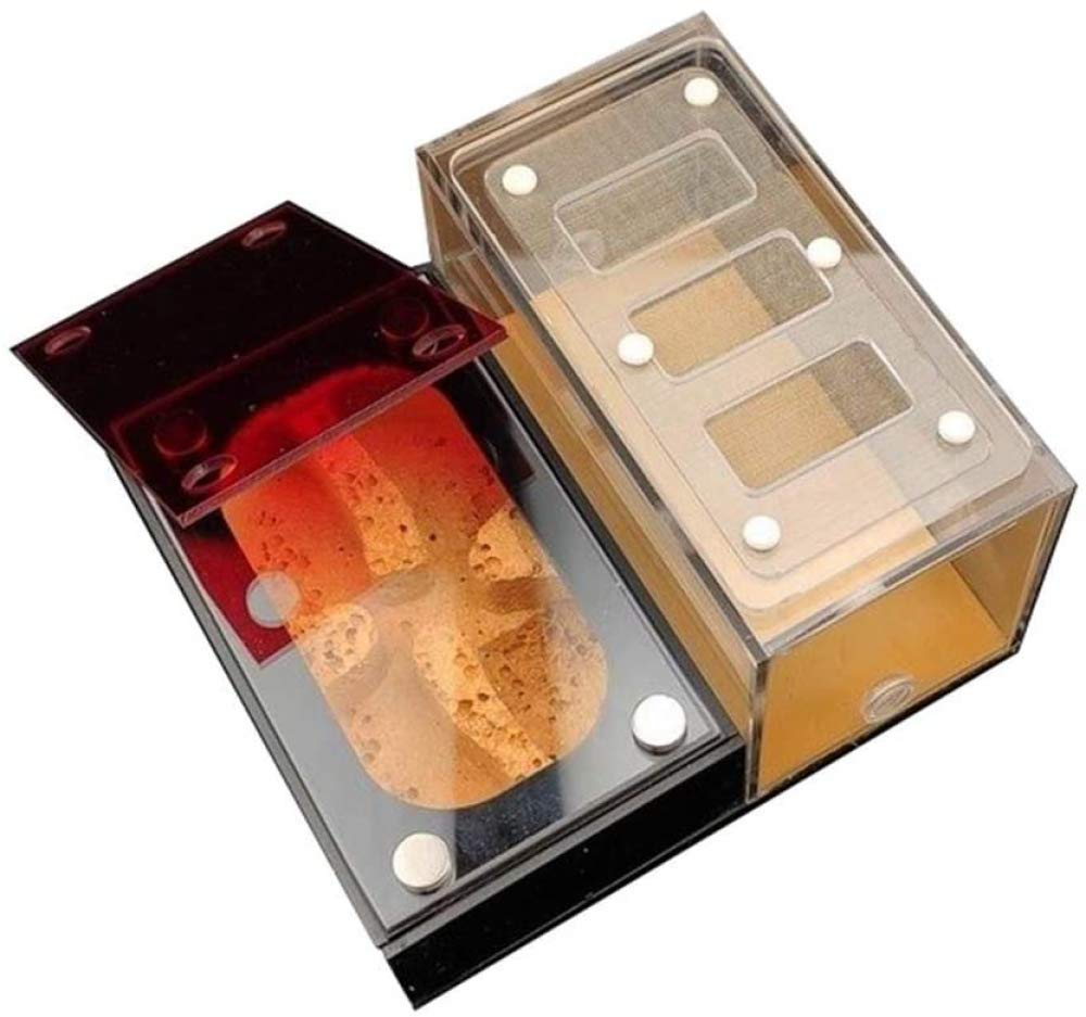 KAIXIN Flat Ant Farm Ant Nest, Acrylic And Concrete Ant House, Independent Activity Area And Nest Of Medium Or Large Colony,Ant Castle Workshop Villa