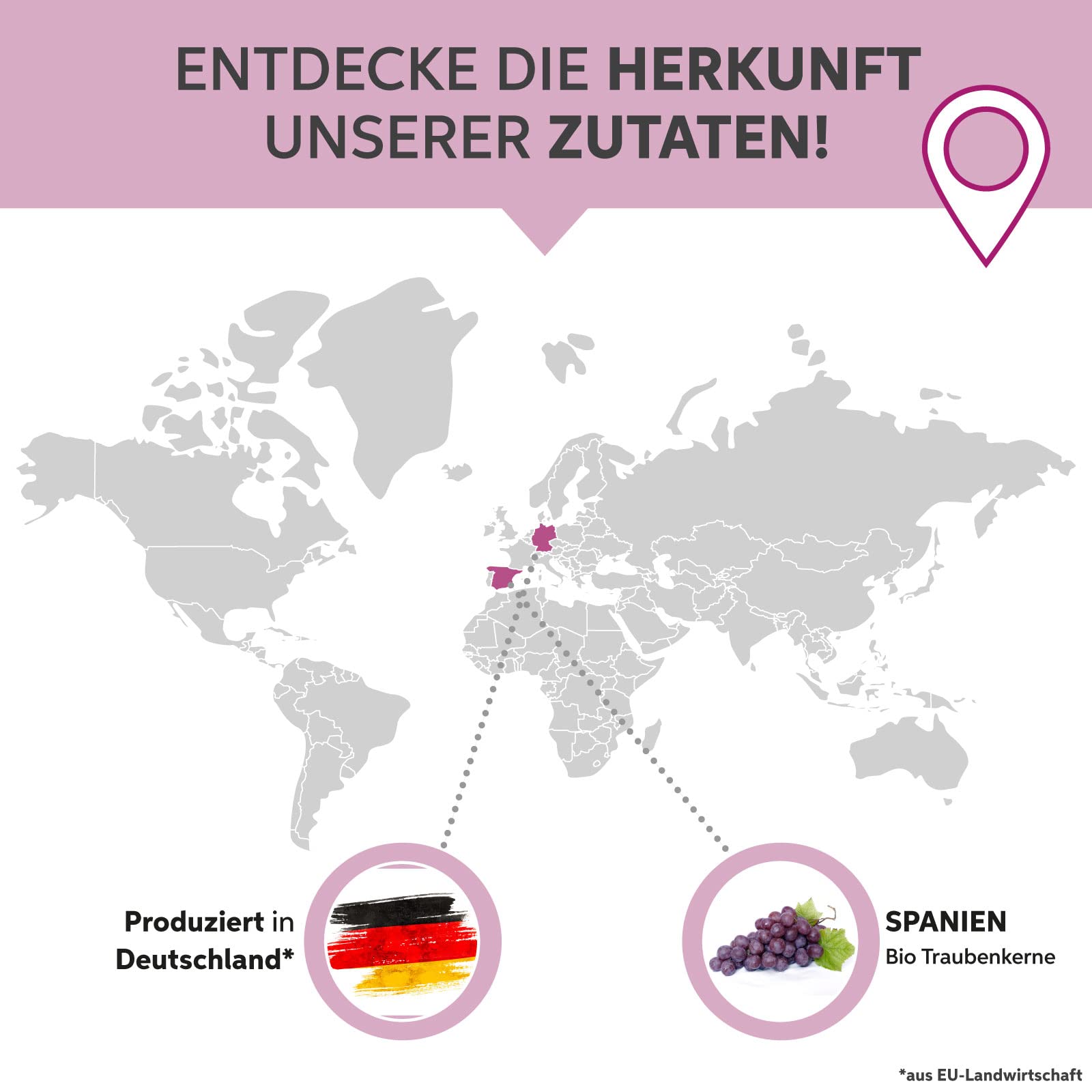 Bio Traubenkernmehl OPC 1kg Traubenkern Extrakt Pulver Premium Rohkost Qualität | Traubenkerne aus der EU | DE-ÖKO-007