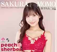MoMo'sSHOP♡さん専用 いつもS.MOMOを可愛がっていただき、ありがとうございます