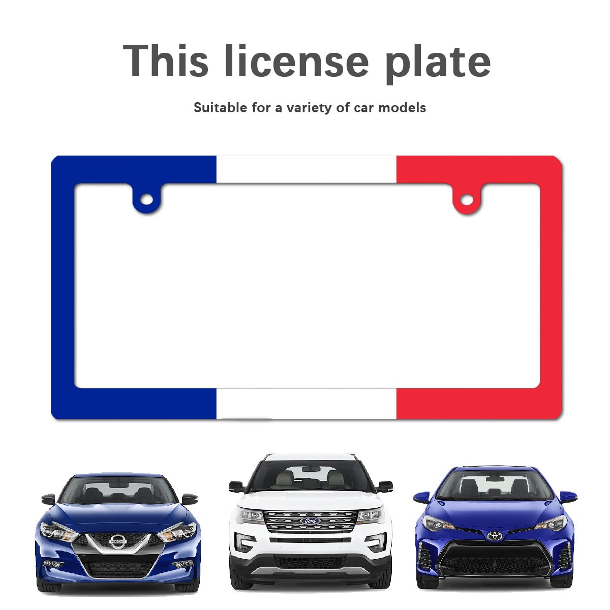 Amazon.co.jp: ナンバーフレーム フランス 国旗 ナンバープレート