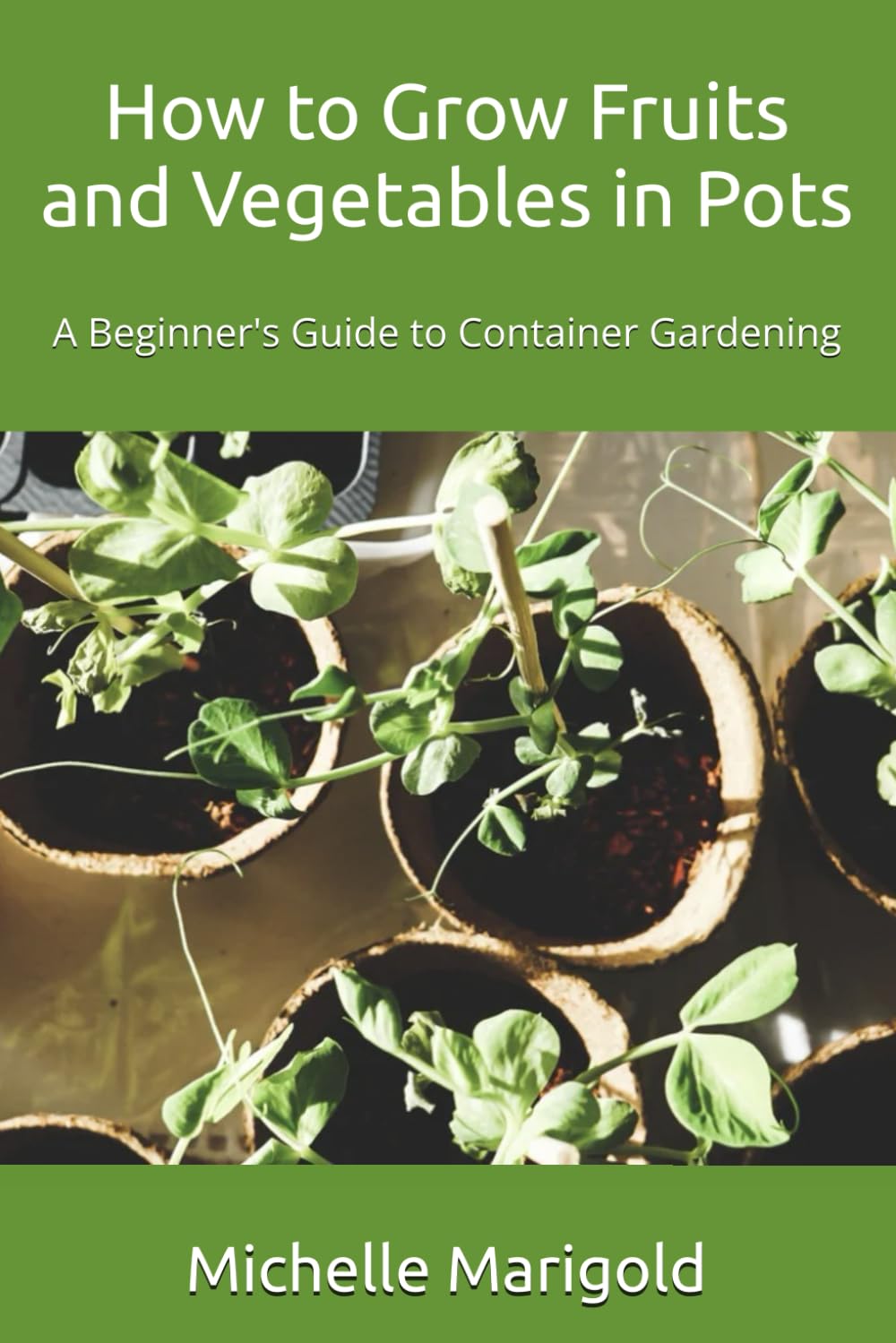 How to Grow Fruits and Vegetables in Pots: A Beginner's Guide to Container Gardening