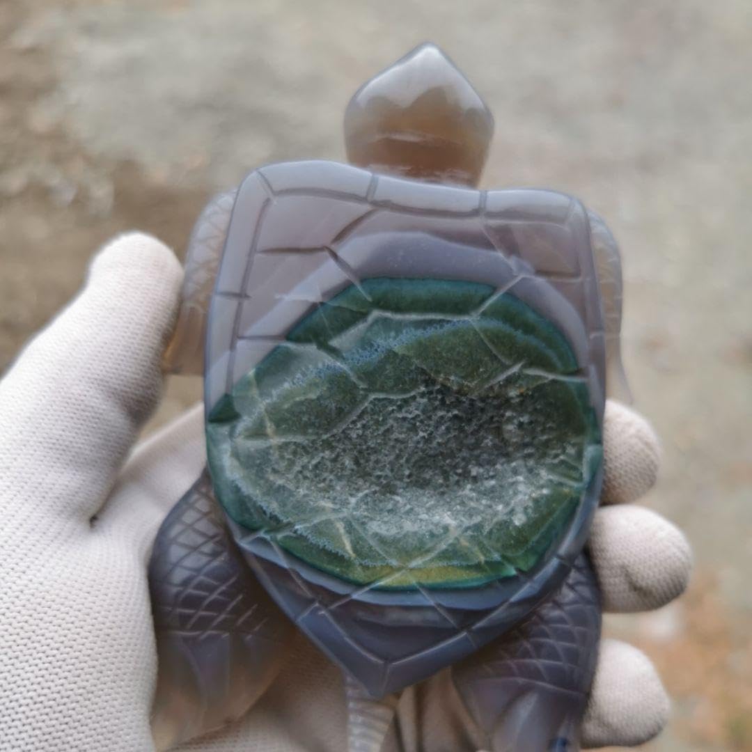 Amazon.co.jp: 瑪瑙 亀 267グラム アゲート 鑑賞石 原石 宝石 置物