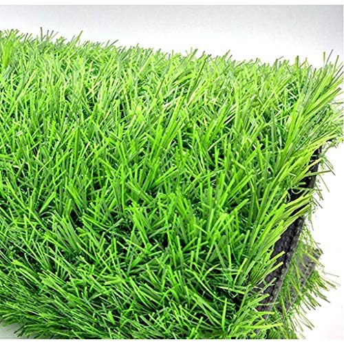 WJ Césped Al Aire Libre Simulación Artificial Techo Pad Rojo Verde Impermeable Balcón Encriptación Alfombra Campo de fútbol Fondo de Pared (Color : T 2.5cm, Size : 2 * 4m)