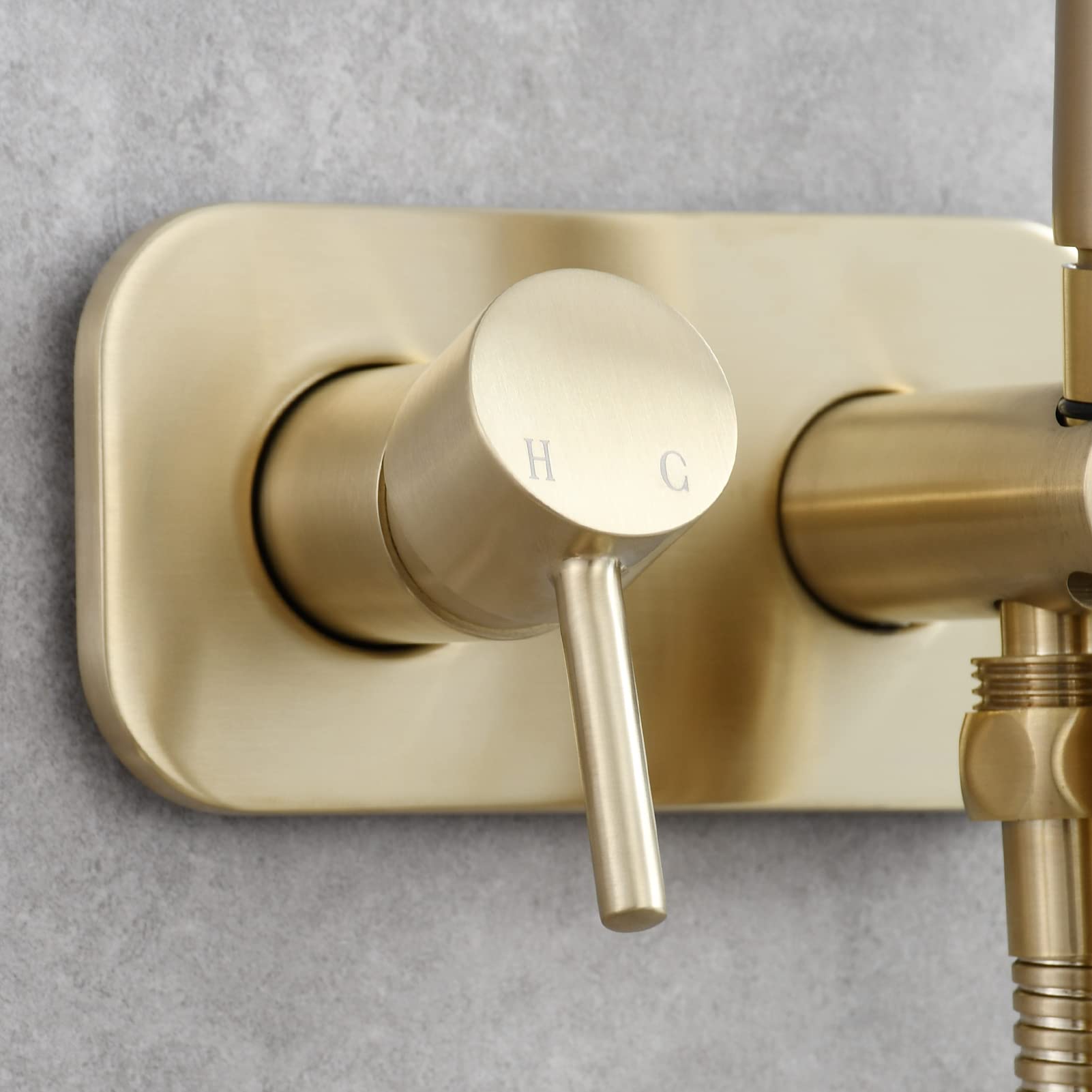 Tecmolog WS024J2F2 - Set doccetta per bidet, in acciaio inox, da incasso, per acqua fredda e calda, con tubo doccia da 1,5 m, oro spazzolato
