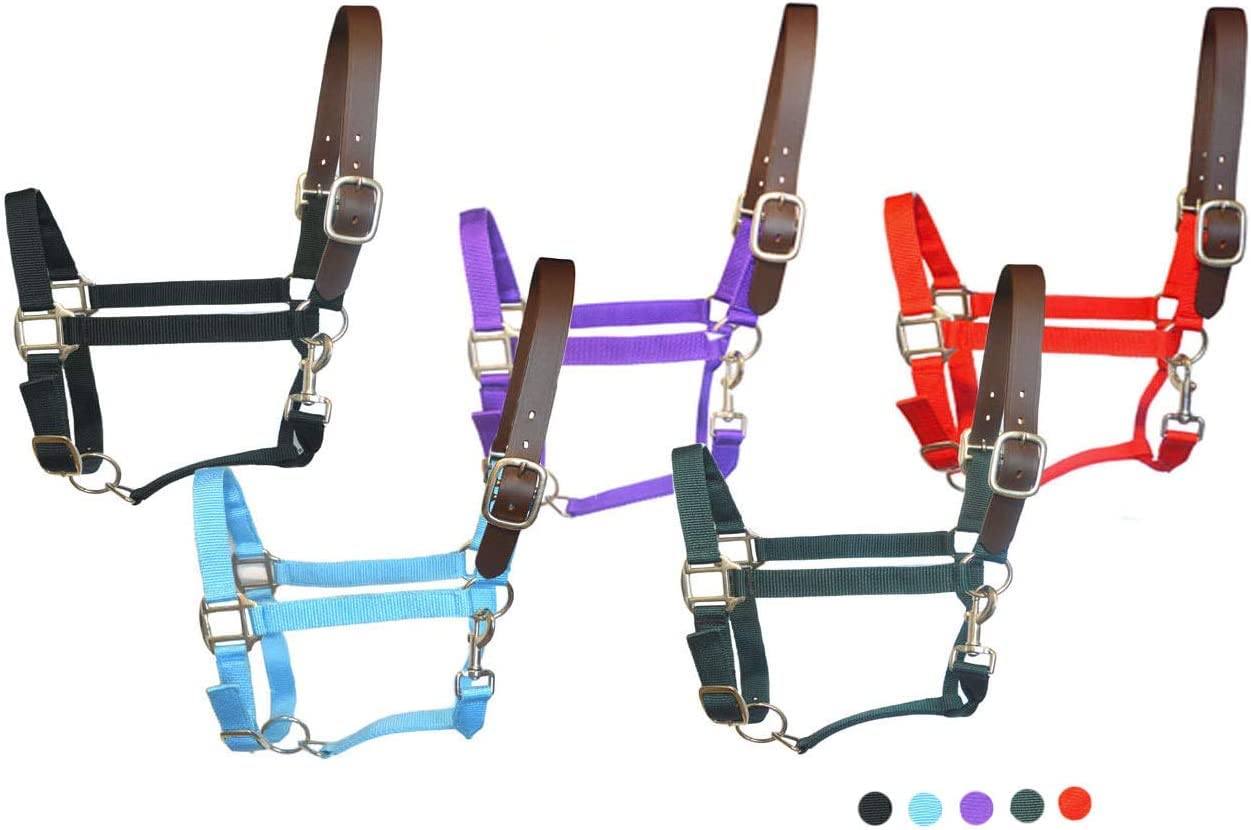 SIE Licol en nylon pour cheval
