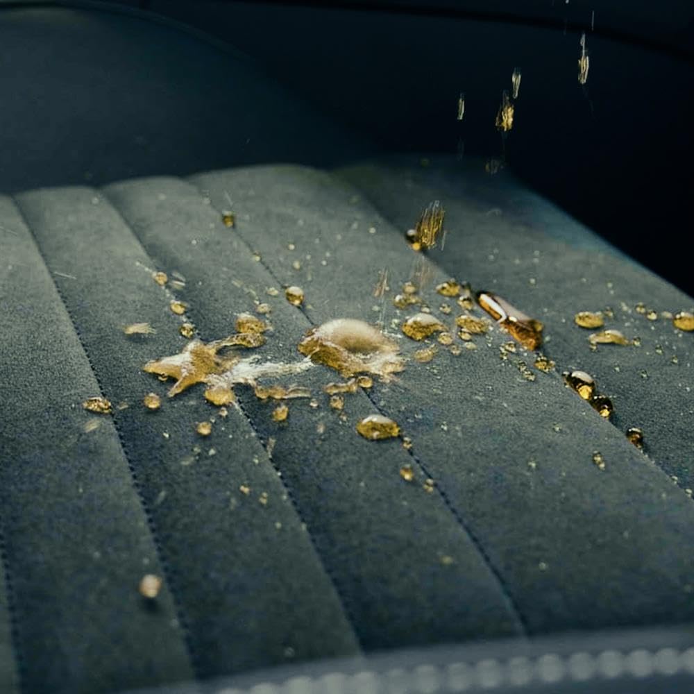 Nasiol Cabincare Nano Protection for Car Fabric, Upholstery Care, Water Repellent Fabric Protector for Car Interiors, Stain Repellent, Interior Care Products 17fl.oz.