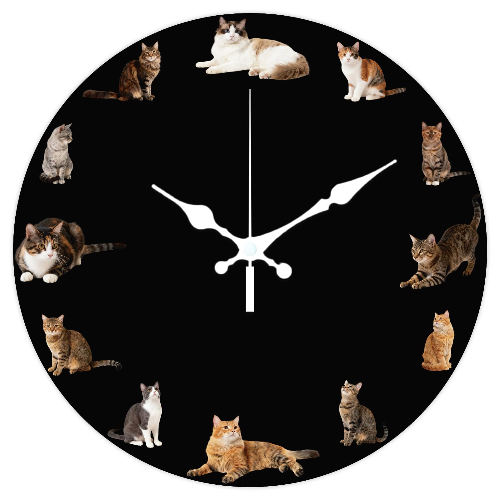 CHGCRAFT 12 Inch Various Orange Cats Poses Pattern Round Wall Clock Battery Operated Silent Non Ticking, for Bedroom Living Room Kitchen Office Home Decor