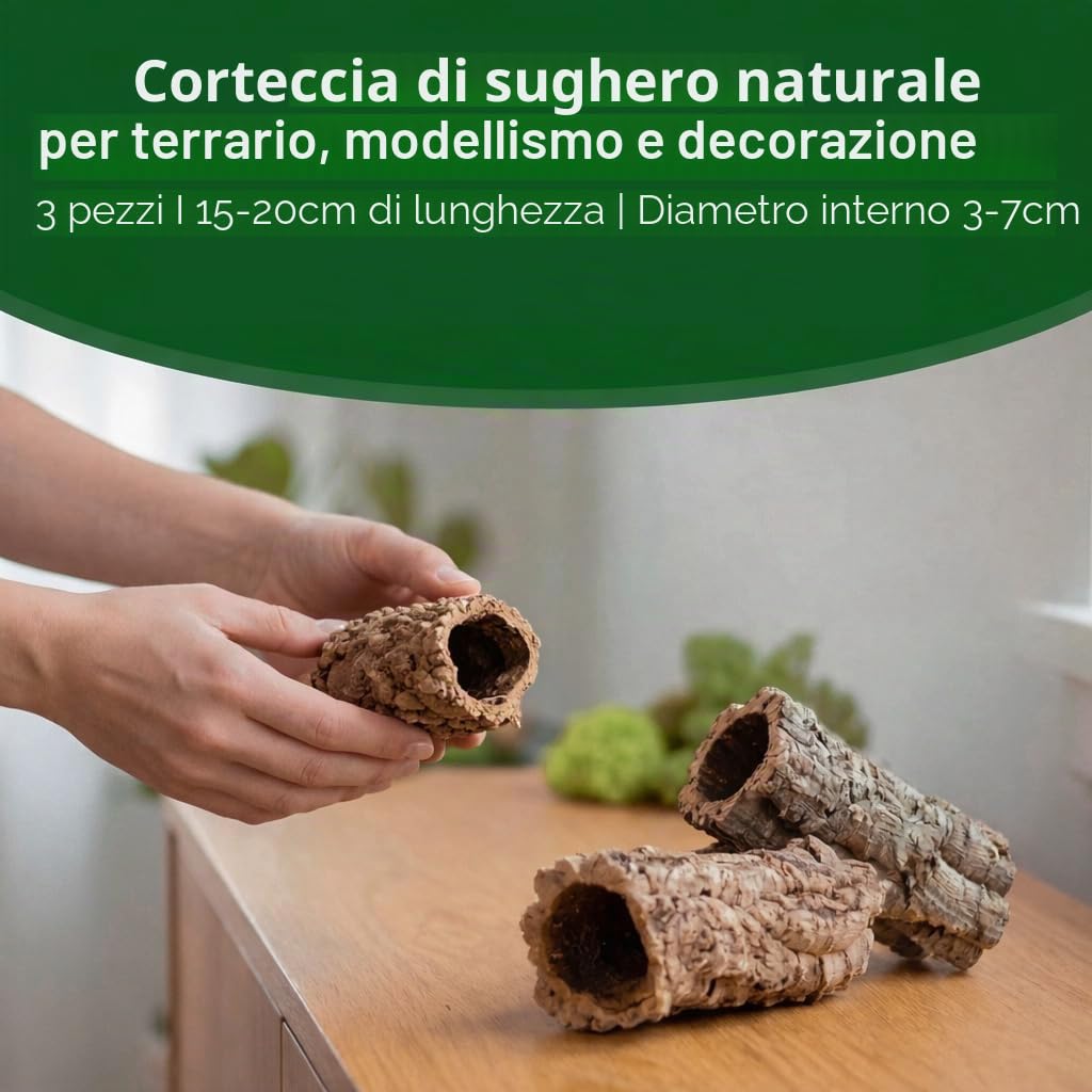 Corteccia di quercia da sughero, 3 pezzi, 15-20 cm, lunghezza circa 3-7 cm, diametro interno in sughero, corteccia naturale, terrario, decorazione per modellismo