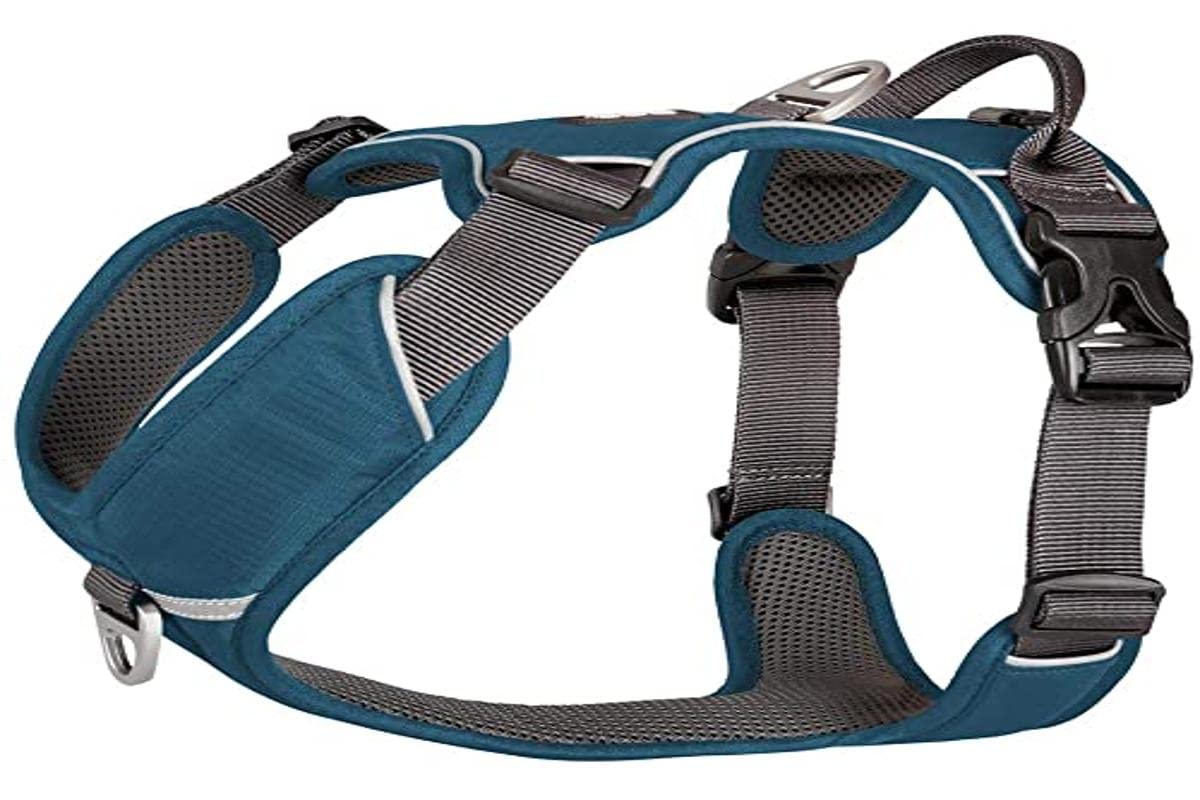 Doc Copenhagen, Comfort Walk Pro Harness, Orange Sun, L, (V1) — view 19