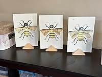 Review Image by Reviews a lot Reviews a lot