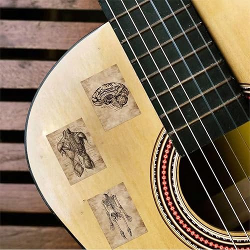 Miniatura 6 de Human Body Organ Stickers 50Pcs Human Anatomy Waterproof Vinyl Decals for Bike Water Bottles Laptop Bicycle Refrigerator Cup Luggage Computer Mobile