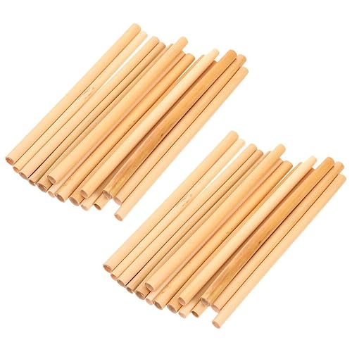 Kichvoe 20 piezas de tubos de abeja de caña para casa de abejas, insertos de repuesto para apicultores solitarios suministros de colmena de abejas