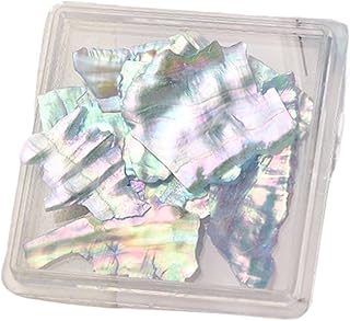 1 caja de adornos de abulón for decoración de uñas, rodajas de concha serie océano, conchas pulidas en 3D de colores, lentejuelas for decoración de uñas, piezas naturales, herramientas for decoración