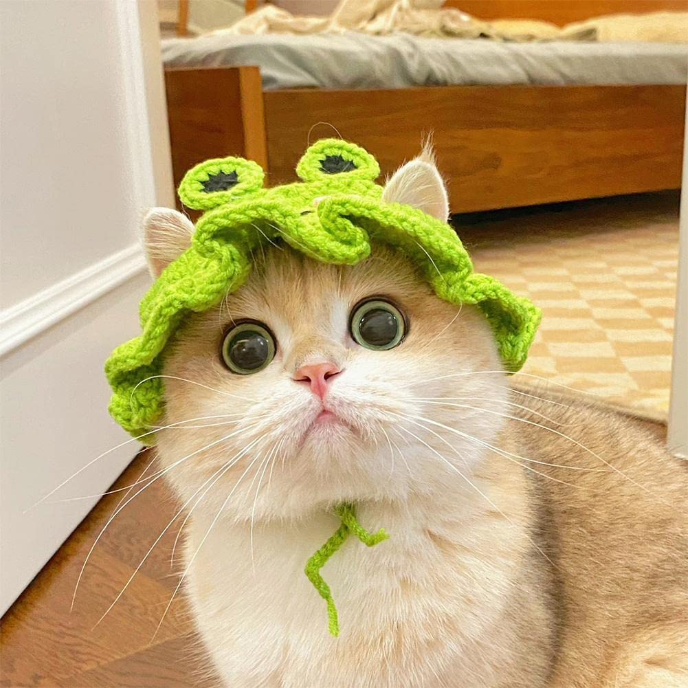 Amazon.co.jp: 猫用帽子 コスプレ仮装 猫のヘアアクセサリー カエル