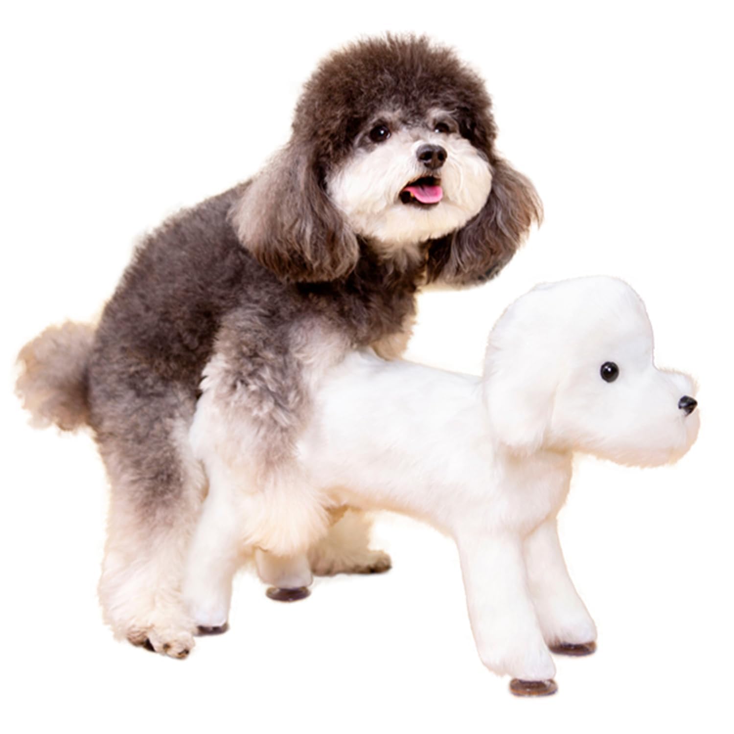 Jouet de matériel de Chien, Jouets de Compagnon pour Chiens en Silicone avec Ventouse, Simulation Pet Oestrus Vent 25cm/9.8in
