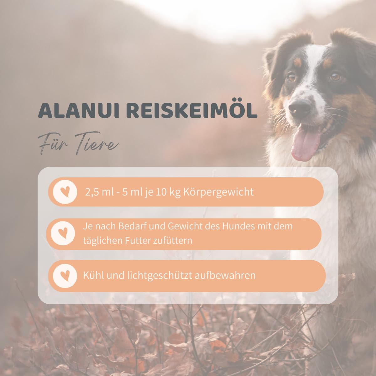 alanui Reiskeimöl für Hunde, raffiniert, 2 x 500 ml Dosierflasche
