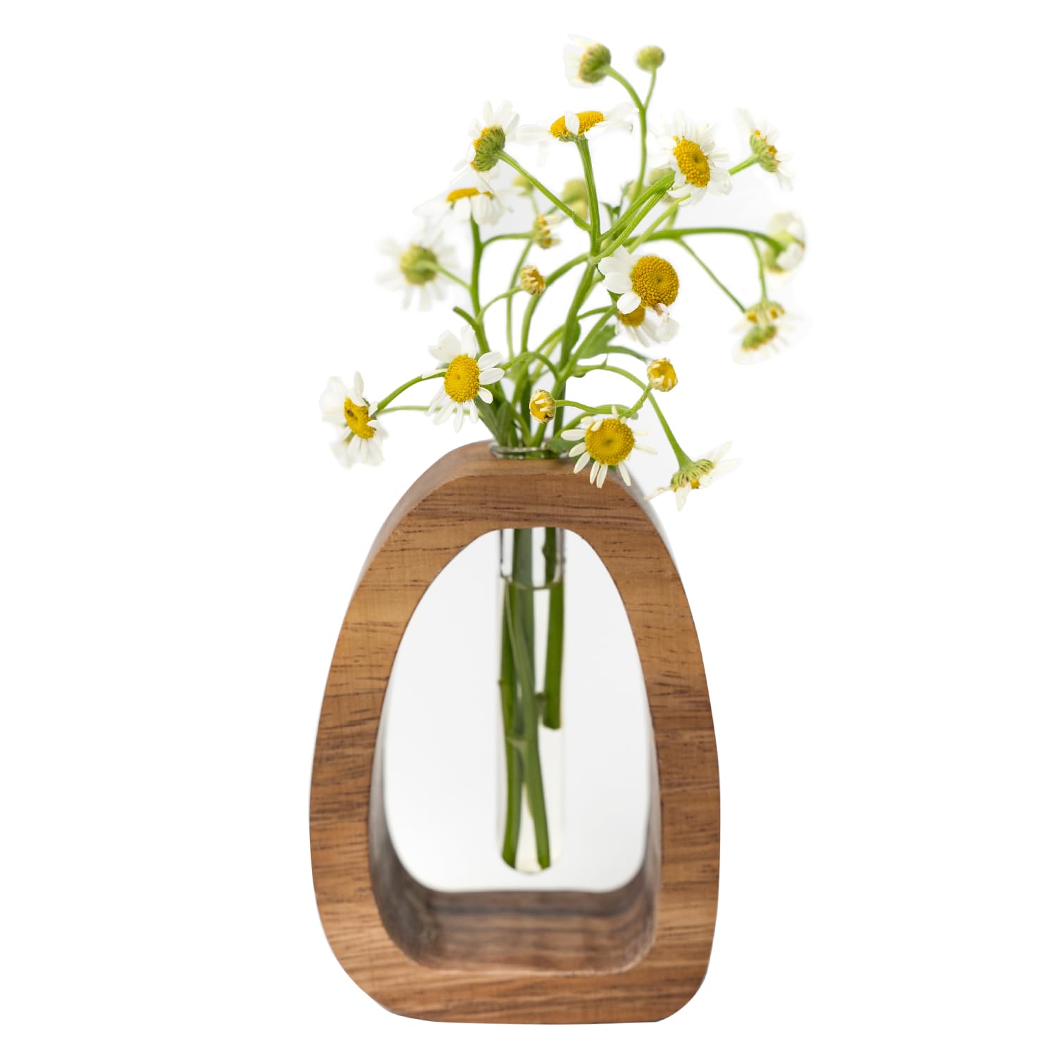 Photo 1 of MIGAKU HOME Solid Wood Test Tube Vase - Small