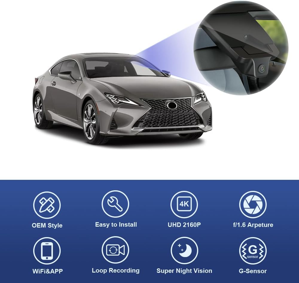 根付 骨 牙 柘植等（天然素材） 唐子 無銘 根付 骨 牙 柘植等（天然