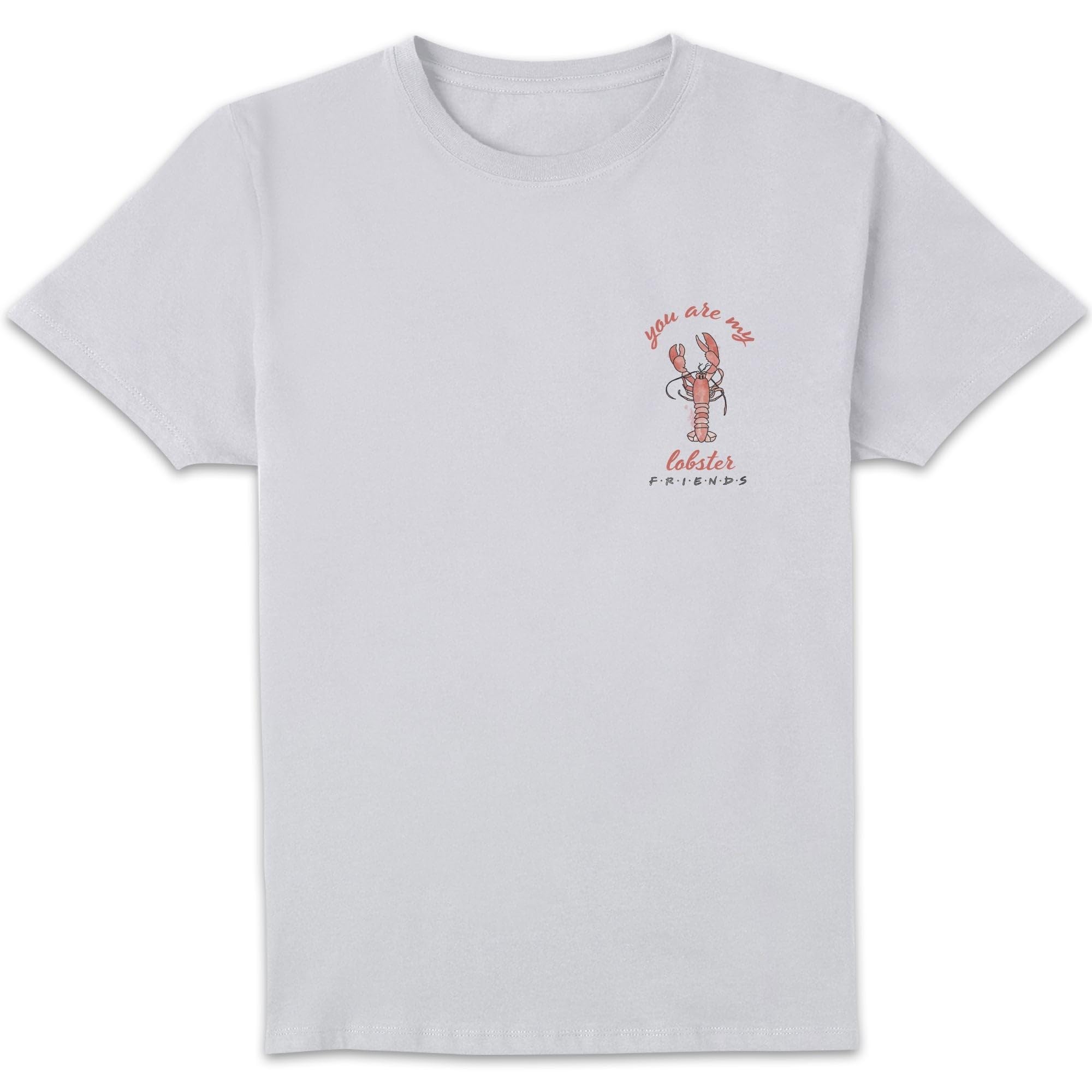 Zavvi Unisex Multi Friends You Are My Lobster Men's T-Shirt - White 5XL