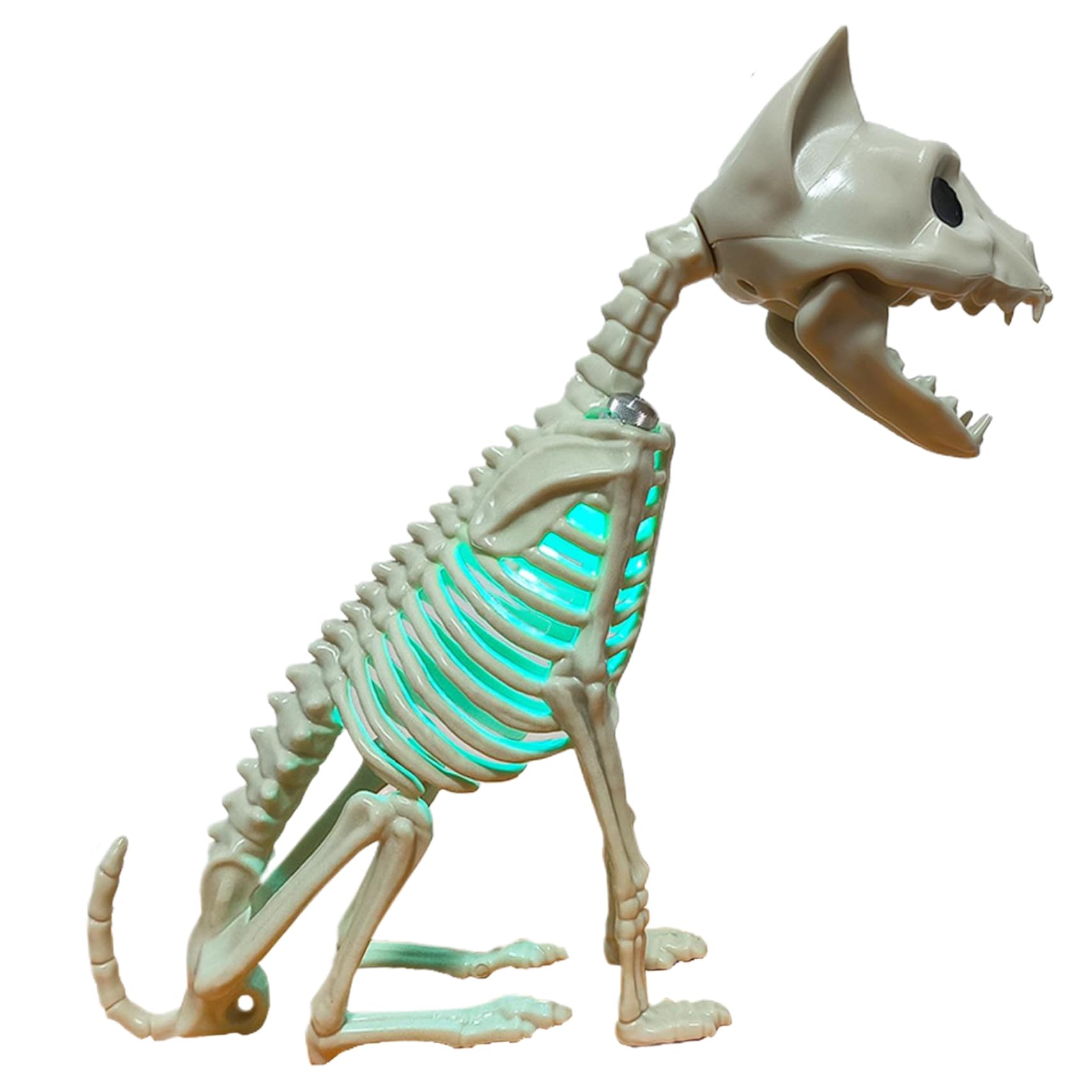 Squelette de chat Halloween Gcroet de 15 x 22 cm avec mâchoire mobile