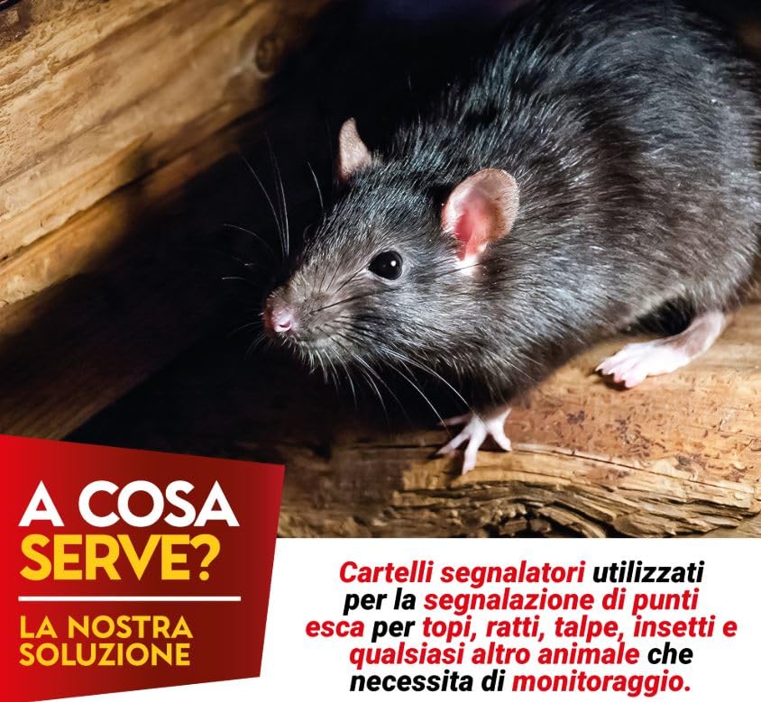 Mice&Co Scatole di Esca per Ratti e Topi con Chiave - Stazione di Esche