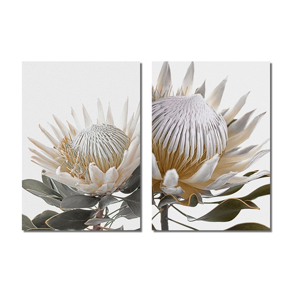 WUHBCZ Art Decor,Abstract White Protea Flower with Green Plant Leaves Poster Nordic Modern Painting Print Canvas Wall Art Pictures Living Room Bedroom Hotel Decor-40 * 50cm*2PCS (No Frame)