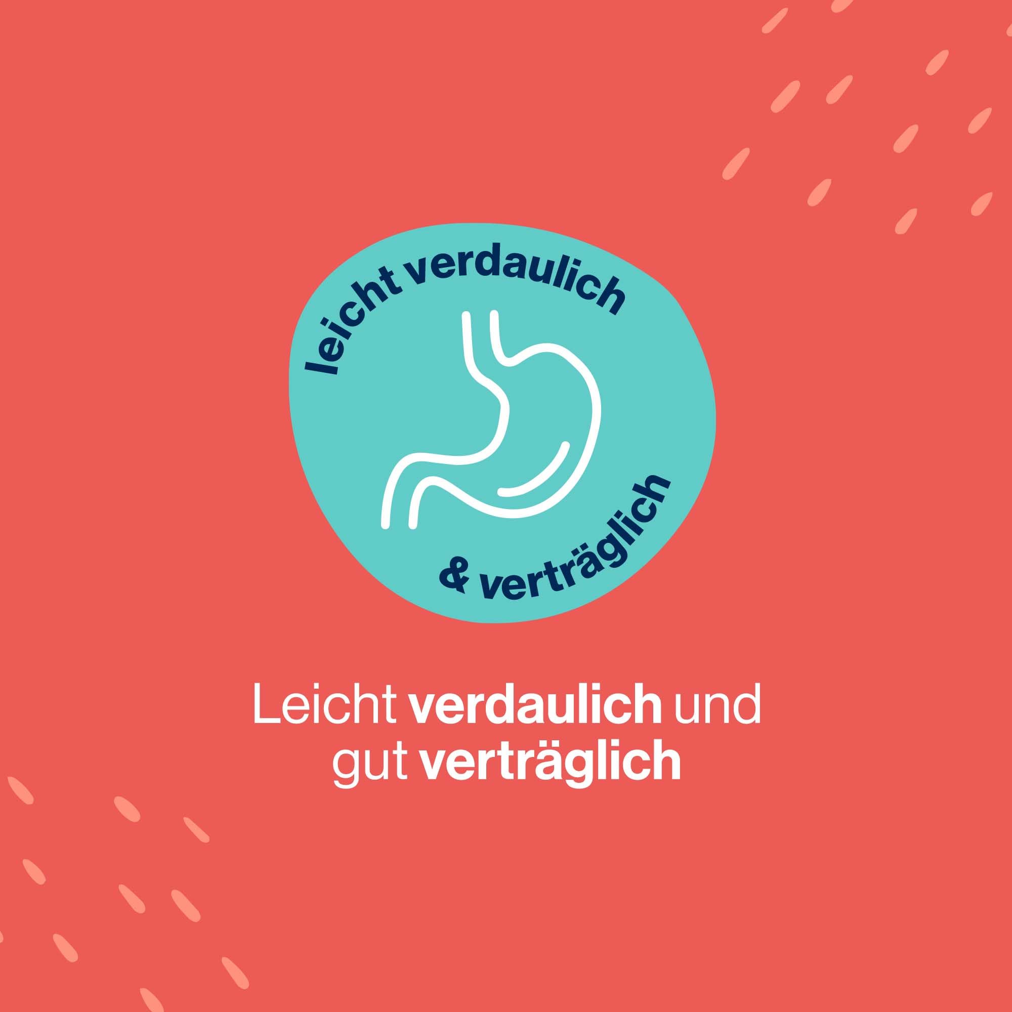Pets Deli Trockenfutter für Hunde Rind mit Süßkartoffel, Karotte & Brombeere - ohne Zucker und Gluten, 6kg