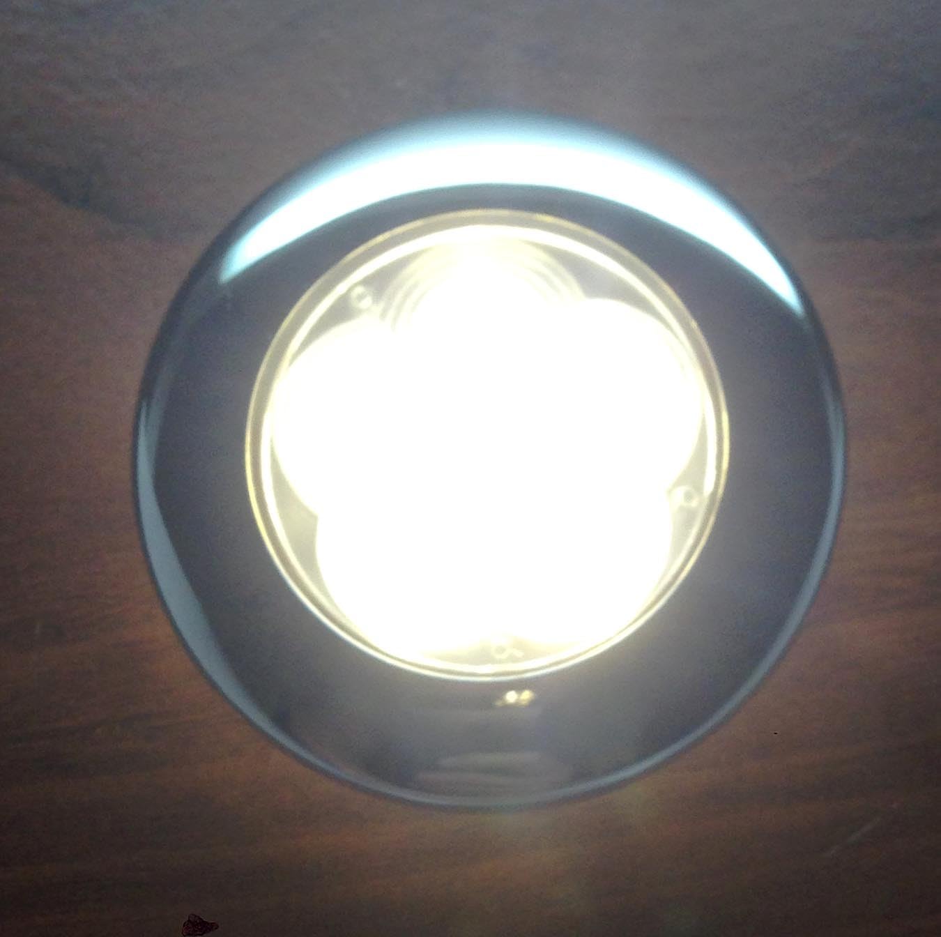 Pactrade Marine Boat 6 LED, Ceiling Courtesy Light Stainless Steel Rim Flush, Warm White : Sports & Outdoors