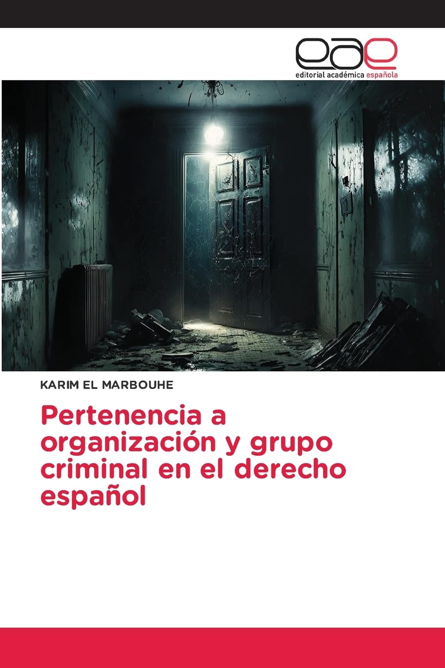 Pertenencia a organización y grupo criminal en el derecho español