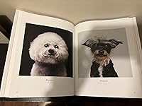 Review Image by Justin Whitmer Justin Whitmer