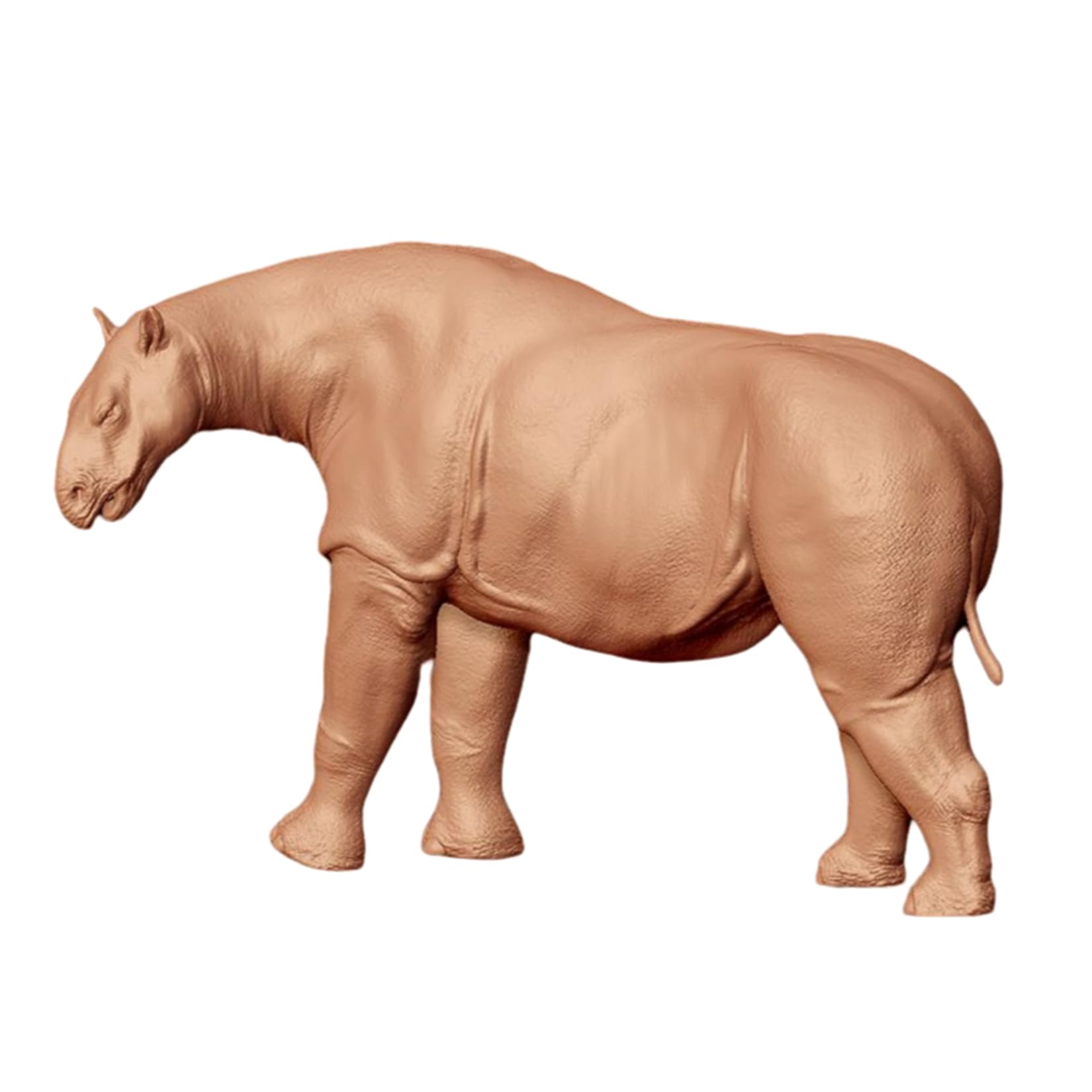 木彫　絶滅哺乳類　アルケオテリウム　頭骨模型　1/5スケール 木彫 絶滅哺乳類 アルケオテリウム 頭骨模型 1/5スケール - メルカリ