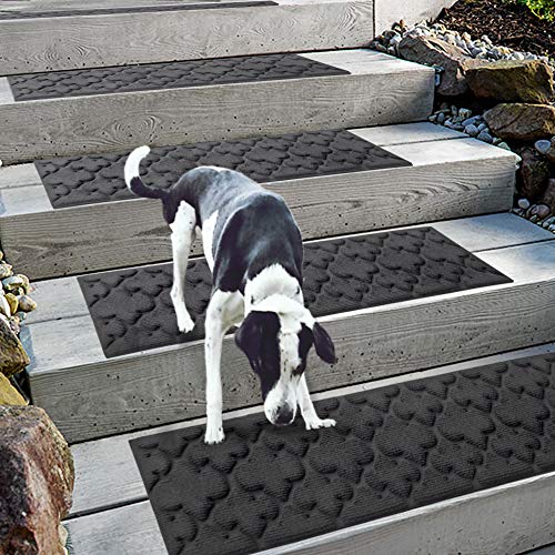 Top 10 Best Stair Treads For Dogs Reviews & Buying Guide Katynel