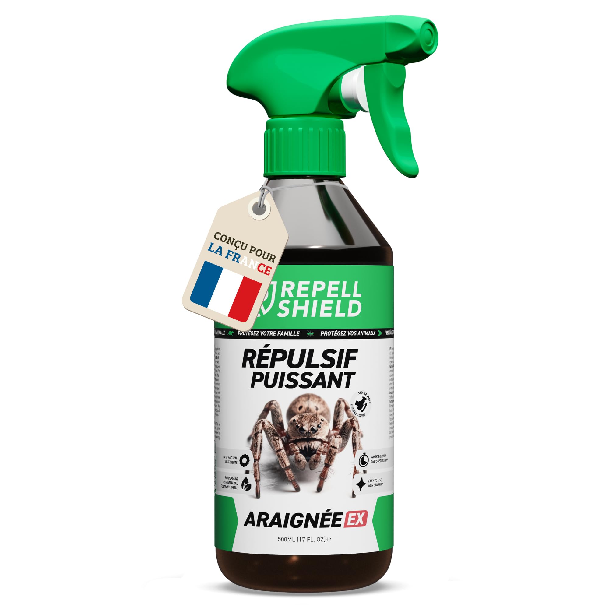 Kapo Choc Araignée
