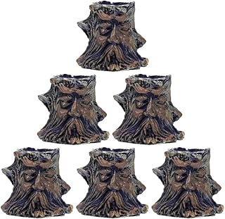 POPETPOP Tigelas De Água Para Répteis - 6 Peças Prato De Água Para Répteis Resina Prato De Alimentação De Répteis Tigela De Comida Para Répteis Tigelas De Terrário Para Alimentação De