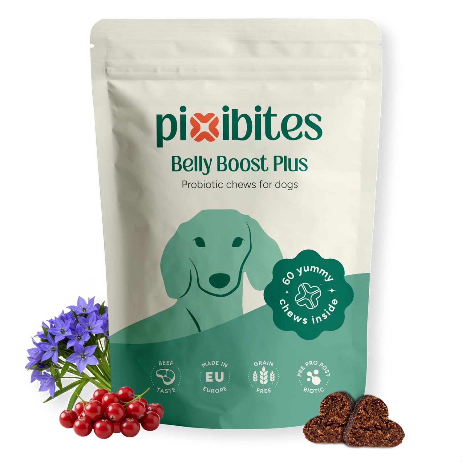 Probiotiques Chien, Complément Naturel pour la Santé Intestinale, Soutien Digestif et Immunitaire, Soulagement des Allergies Toutes Races (60 Chews)