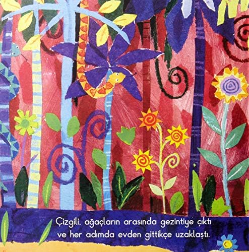 Çizgili - Görsel 5