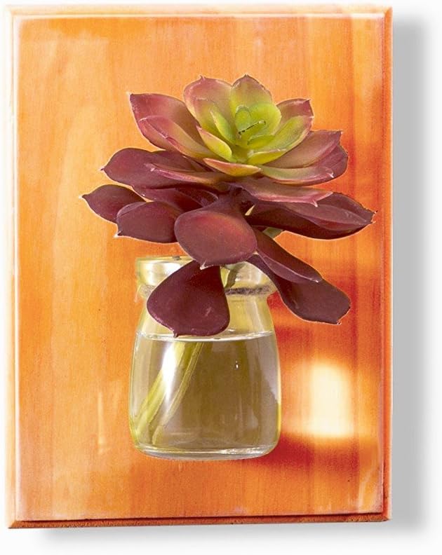 Wall Hanging Plant Terrarium Glass Planter/Wall Vases/Flower Container (Orange)